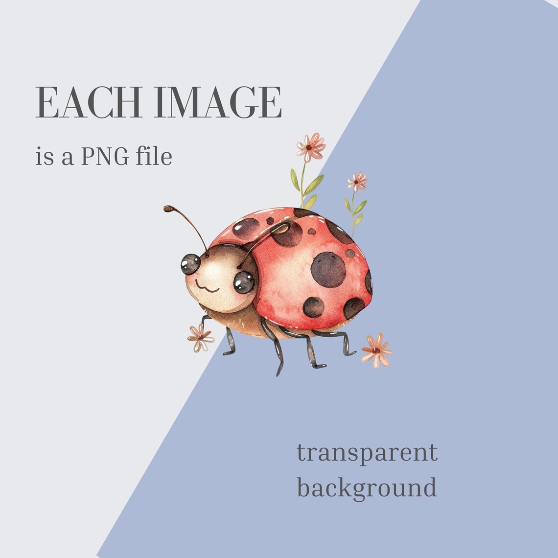 Ladybug Clipart, Cute Watercolor PNG Bundle for Digital Download ...
