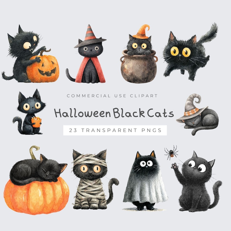Cute Black Cat Pumpkin PNG Watercolor Clipart, Adorable Halloween Art ...