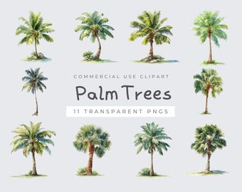 Palm Tree Clipart, Tropical Watercolor Graphics, High Quality PNG, Digital Download for Crafts & Designs, Nature