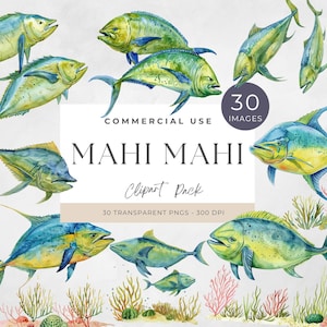Mahi Mahi Clipart, Angeln Clipart PNG, digitaler Download, Mahi Mahi Kunst, sofortiger Download, Fisch Grafik, Korallenriff, Meerlandschaft