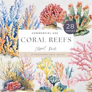 Coral Reef Clipart, Underwater Watercolor PNG, Digital Download for Crafting, Marine Life Art, Instant Access, Under the Sea, Ocean Life