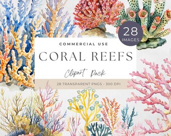 Korallenriff Clipart, Unterwasser Aquarell PNG, digitaler Download zum Basteln, Meeresleben Kunst, sofortiger Zugriff, unter dem Meer, Ozeanleben