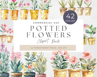 Puede incluir: Un conjunto de 42 imágenes de clipart de acuarela de flores en macetas en varios colores y estilos. Las flores están en macetas de terracota, algunas con detalles dorados. El texto "COMMERCIAL USE POTTED FLOWERS Clipart Pack 42 TRANSPARENT PNGS - 300 DPI" se muestra en la imagen.