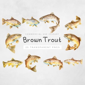 Op de afbeelding: Waterverfillustratie van bruine forel in verschillende poses. De vissen hebben bruine en gele lichamen met donkere vlekken. De afbeelding bevat de tekst "Brown Trout" en "25 Transparent PNGs".