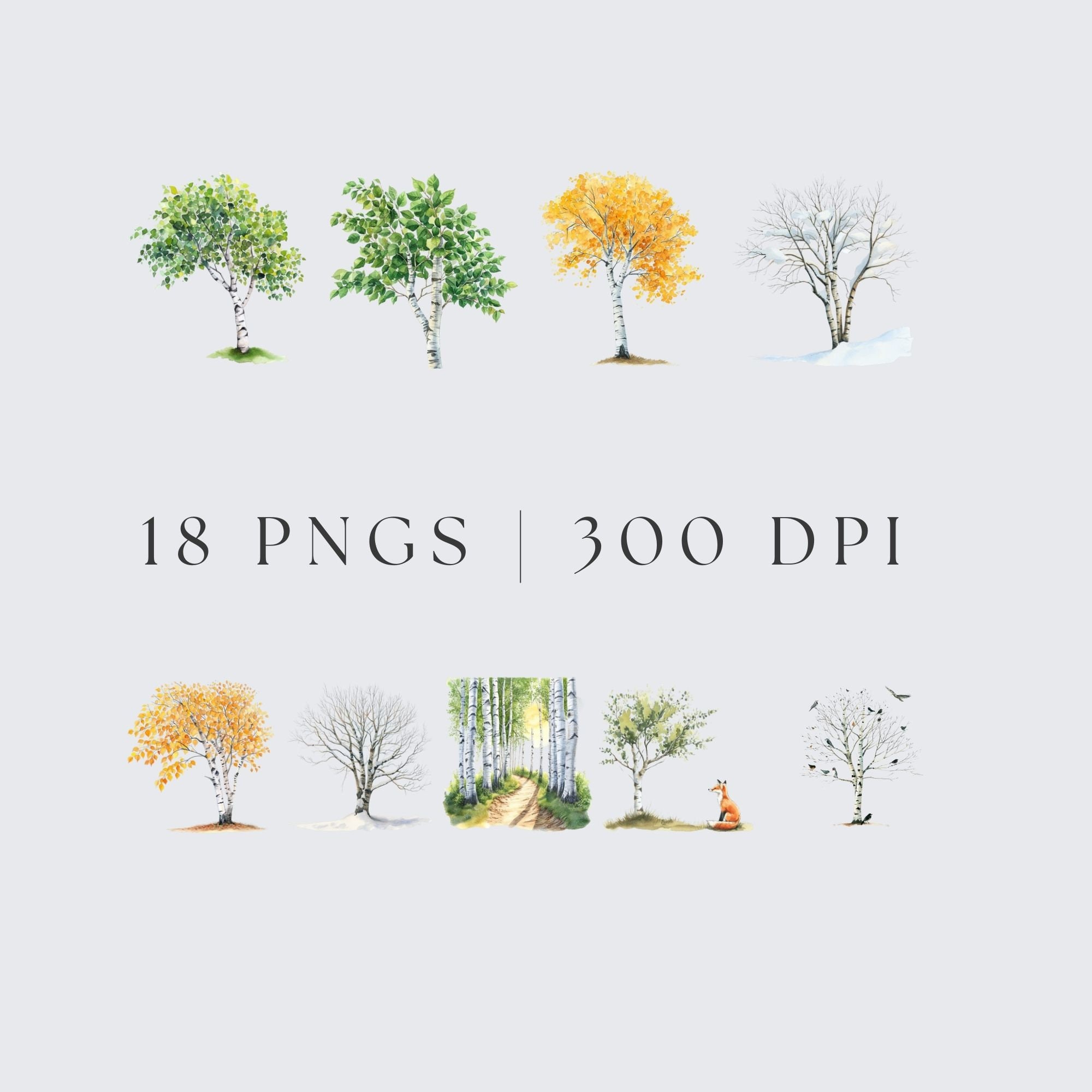 Birch Tree Clipart, Watercolor Spring Birch Trees Clipart, Watercolor ...