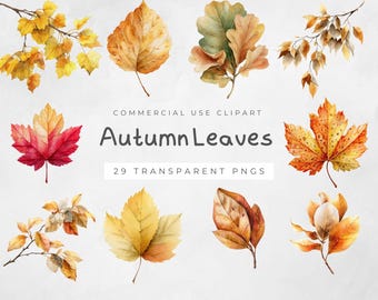 Herfstbladeren aquarel clipart, digitale download png, herfstbladeren graphics, ambachtelijke benodigdheden voor doe-het-zelfprojecten