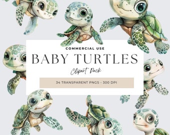 Baby Sea Turtle Clip Art, Sea Turtle Birthday PNG, Baby Sea Turtle PNG, Watercolor Sea Turtle Clipart, Ocean Animals, Baby Shower, Nursery