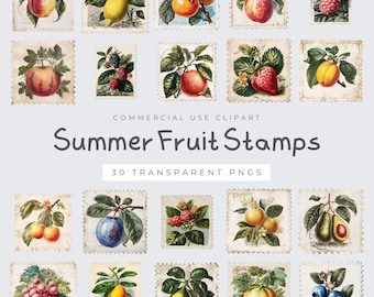 Sommer Obst Stempel, Vintage Ästhetische Clipart, Gartenarbeit Design, T-shirt Download, PNG Obst Grafiken