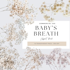 Baby adem clipart, baby adem bloemen clipart, bruiloft uitnodiging clipart, bloemen boeket, baby's adem, aquarel bloem PNG