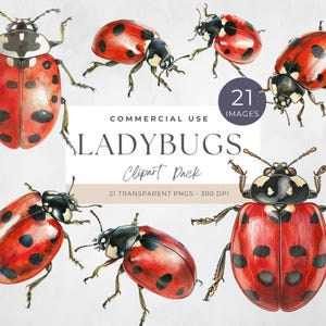 Ladybug Clipart, Birthday, Cute Watercolor Ladybug PNG, Digital Download for Nursery Decor, Sublimation Art, Commercial Use, Junk Journal