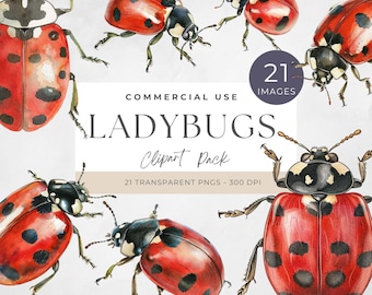 Ladybug Clipart, Birthday, Cute Watercolor Ladybug PNG, Digital Download for Nursery Decor, Sublimation Art, Commercial Use, Junk Journal