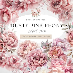 Altrosa Pfingstrosen Clipart, Pfingstrosen Blume Cliparts Aquarellmalerei, Blush Pfingstrose Clipart, Frühling Blumen Pfingstrose, rosa Sommerblumen