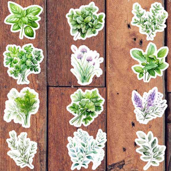 Herb Sticker Set | Waterproof Glossy Vinyl | Set of 12 | Lavender, Mint, Chives, Basil, Cilantro, Dill, Rosemary, Oregano, Sage & More