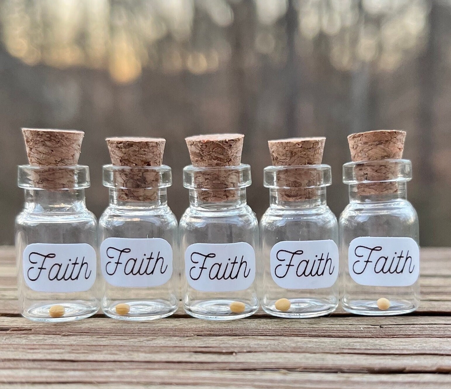 Mustard Seed Faith Jars Set of 5 Christian Decor Modern Christian Decor