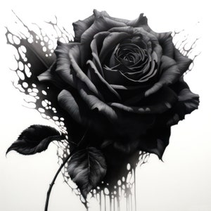 Black Ink Rose