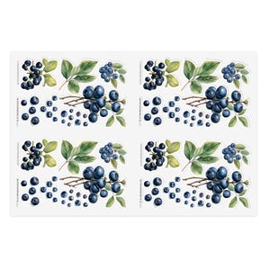 Blueberry Botanical Sticker Sheets, Nature Decor, Scrapbooking Supplies, Planner Stickers, Gift for Gardeners, Fruit Stickers