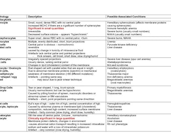 Guide d'étude de la SCSLM