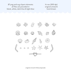 Hand drawn sea shell clipart, seashell clipart, beach line art, sea shell doodles, Summer beach art in PNG and SVG formats