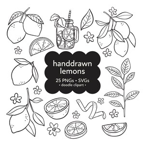 Lemon Clipart Bundle, Handdrawn PNG Graphics for Crafts, Printable Summer Art, Digital Download for DIY Projects, Whimsical Lemon png svg