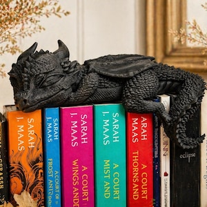 Könnte beinhalten: Eine detaillierte schwarze Drachenfigur liegt auf einem Stapel bunter Bücher. Die Bücher tragen Titel wie "A Court of Thorns and Roses" und "Catching Fire".