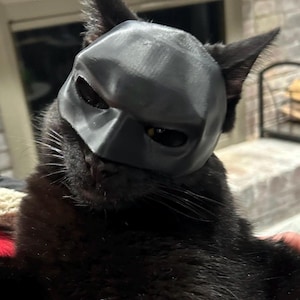 BatCat mask for cats
