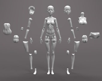 Ball Jointed Doll Assembly  BJD _Female  .STL