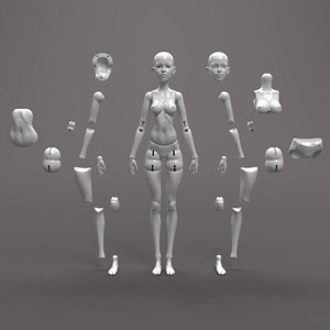 Ball Jointed Doll Assembly  BJD _Female-Grey  .STL