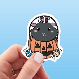 Meerschweinchen Kürbis Candy Bucket Vinyl Sticker