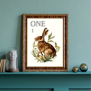 PRINTABLE Botanical Number Posters / Charlotte Mason / Homeschool / Vintage Prints