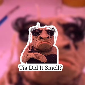Tia Did It Smell Viral Tiktok Meme Sticker, Funny Hilarious Quote