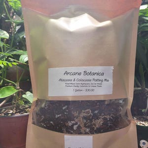 Puede incluir: Una bolsa de color canela que contiene sustrato para Alocasia y Colocasia de Arcane Botanica. La etiqueta especifica que es una mezcla semi-hidropónica para aroideas y un sustrato grueso para plantas de interior, con un volumen de 3,78 litros.