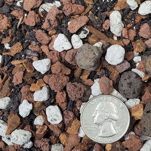 Puede incluir: Primer plano de una mezcla de tierra que incluye roca volcánica roja, piedra pómez blanca, carbón vegetal oscuro y astillas de madera. Se incluye una moneda de veinticinco centavos estadounidense como referencia de tamaño. La mezcla de tierra es para plantas.