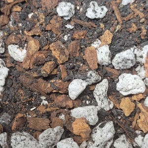 Philodendron-potmix: handgemengde semi-hydrocultuurgrond voor aroids, premium stevig substraat voor kamerplanten
