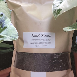 Monstera-potmix: handgemengde semi-hydrocultuurgrond voor aroids, premium stevig substraat voor kamerplanten