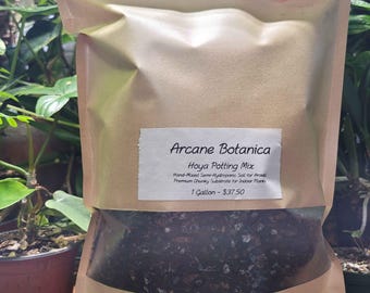 Hoya & Philodendon Potting Mix - Hand-Mixed Semi-Hydroponic Soil Chunky Substrate for Indoor Plants
