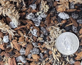 Bromeliad Potting Mix - Hand-Mixed Semi-Hydroponic Soil for Aroids, Premium Chunky Substrate for Indoor Plants