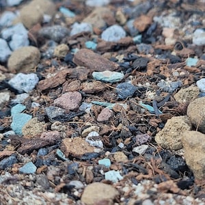 May include: A potting soil mixture containing a blend of dark brown organic matter, fibrous coconut coir strands, small grey and tan pebbles, porous volcanic rocks, and scattered small pieces of bright turquoise-coloured mineral stones.