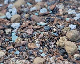 Succulent and Cacti Potting Mix - Hand Mixed, Semi-Hydroponic Substrate