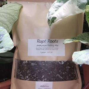Anthurium Potting Mix - Hand-Mixed Semi-Hydroponic Soil for Aroids, Premium Chunky Substrate for Indoor Plants