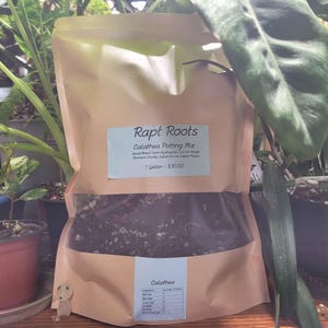 May include: A brown paper bag of Rapt Roots Calathea Potting Mix, with a clear window showing the soil. The bag has a light blue label with the product name and details. The bag is surrounded by green plants.