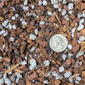 Puede incluir: Primer plano de una mezcla de tierra con varios componentes. La mezcla incluye trozos de corteza de color marrón rojizo, piedras pómez blancas y tierra oscura. Se incluye una moneda como referencia de tamaño.