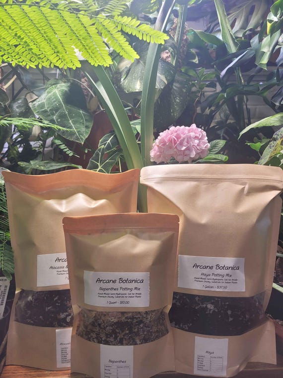 well-draining potting mix Organic Houseplant Potting Soil main image 0