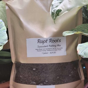 Succulent Potting Mix - Hand Mixed Semi-Hydroponic Soil for Succulents, Premium Chunky Substrate for Indoor Succulents and Cacti
