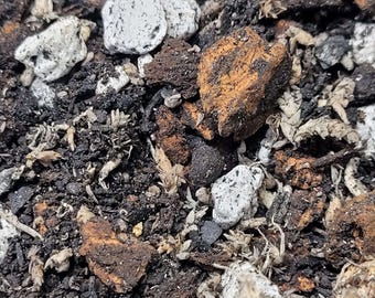 Terreau d'empotage Pothos - Terreau semi-hydroponique mélangé à la main contre les acariens, substrat épais de qualité supérieure pour plantes d'intérieur