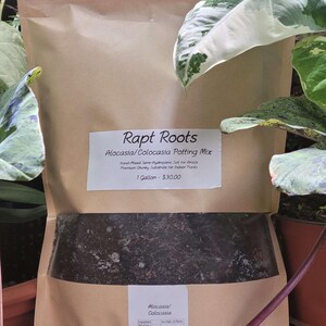 Alocasia and Colocasia Potting Mix - Hand-Mixed Semi-Hydroponic Soil for Aroids, Premium Chunky Substrate for Indoor Plants