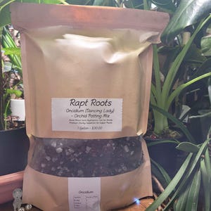 Oncidium (Dancing Lady) Orchid Potting Mix - Hand Mixed Semi-Hydroponic Soil for Orchids