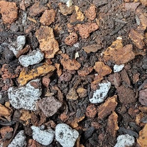Warocqueanum Potting Mix - Hand-Mixed Semi-Hydroponic Soil for Aroids, Premium Chunky Substrate for Indoor Plants
