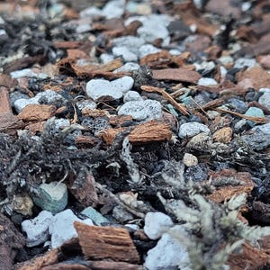 May include: A potting soil mixture composed of dark brown wood bark chips, porous white perlite granules, small grey volcanic rocks, and dark organic soil particles, interspersed with fragments of dried, fibrous, dark-coloured plant matter.
