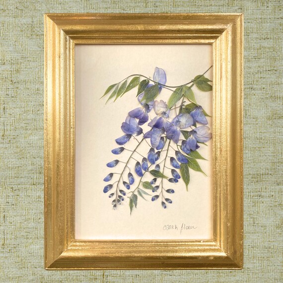 Pressed Flower Wall Art | Floral Decor | Wisteria Flower