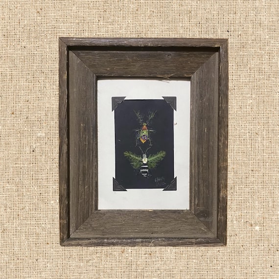 Pressed Flower Wall Decor | Entomology | Herbarium Art |